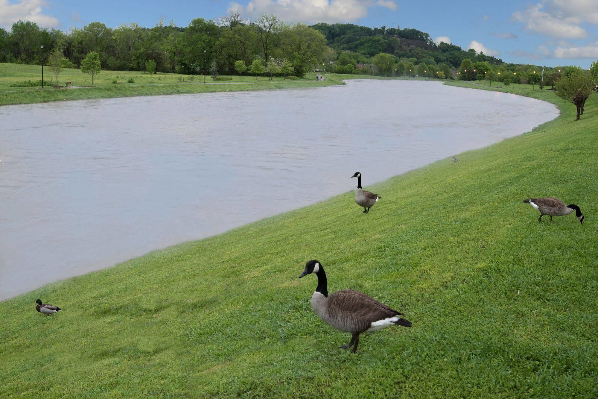 Econo Lodge Sevierville-Pigeon Forge On The River מראה חיצוני תמונה